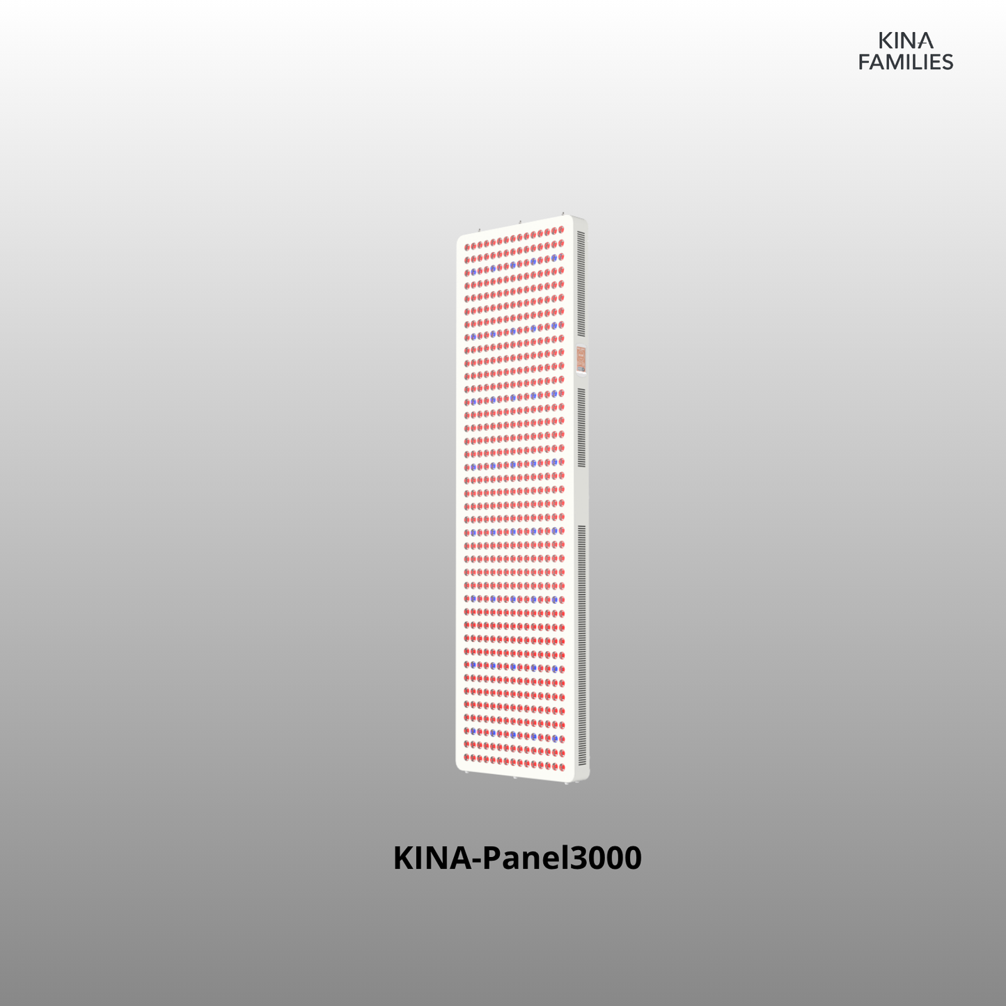 KINA-Panel3000