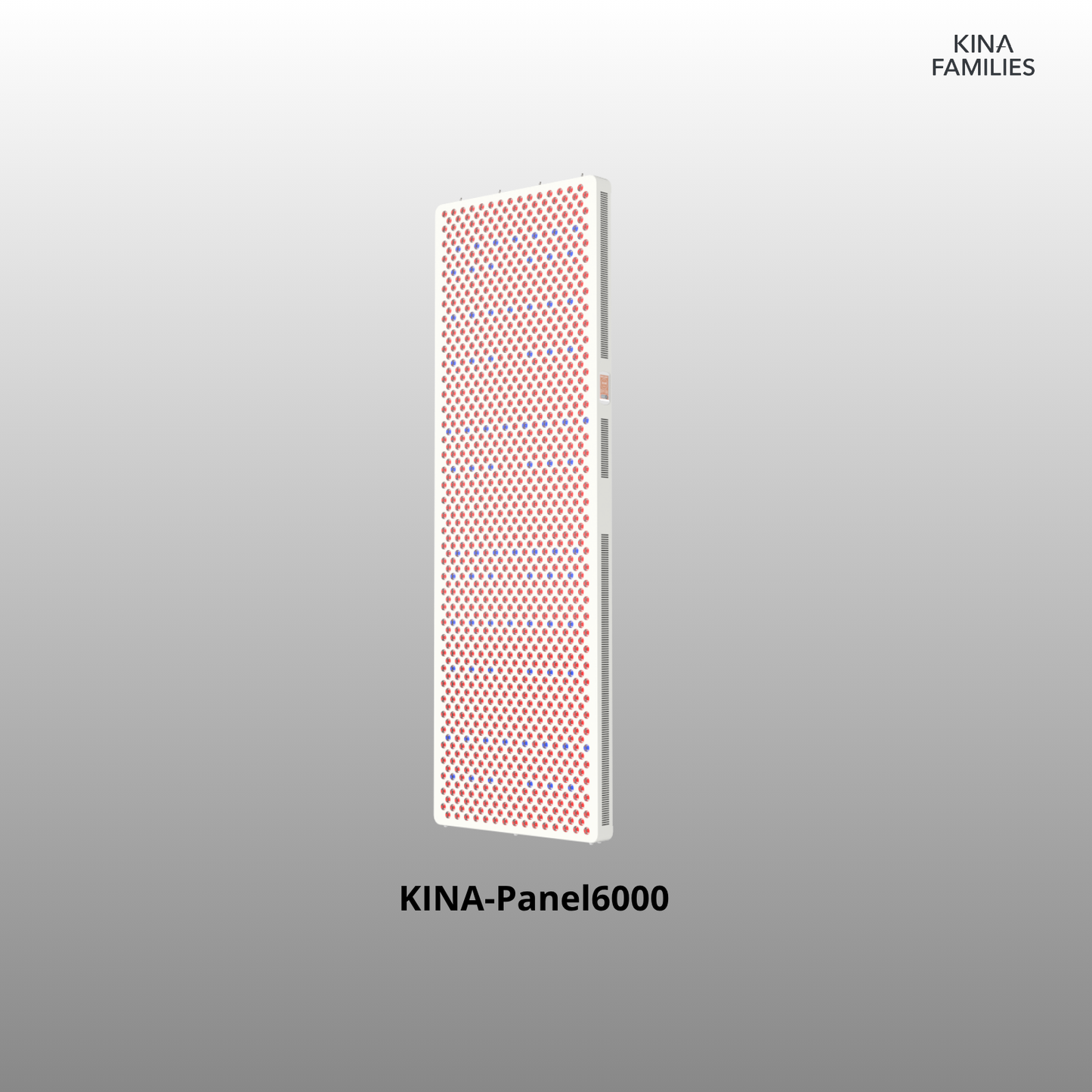 KINA-Panel6000