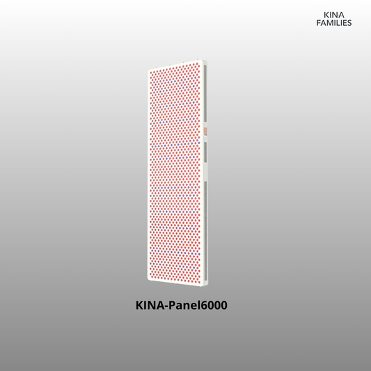 KINA-Panel6000